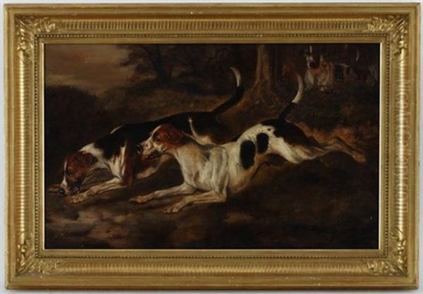 Chiens De Chasse - view 1