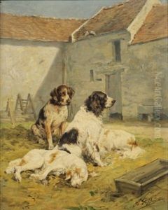 Chiens Dans Une Cour De Ferme