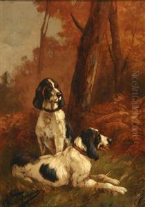 Le Repos Des Chiens