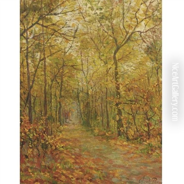 Path Through The Forest - view 1