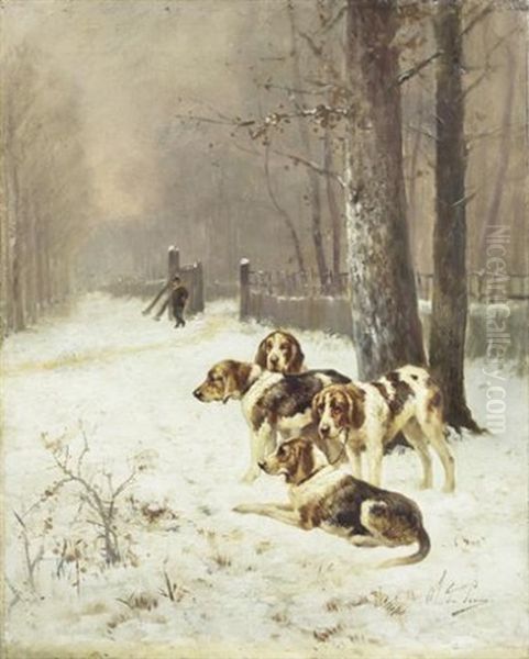 Chiens Dans La Foret De Fontainebleau - view 1
