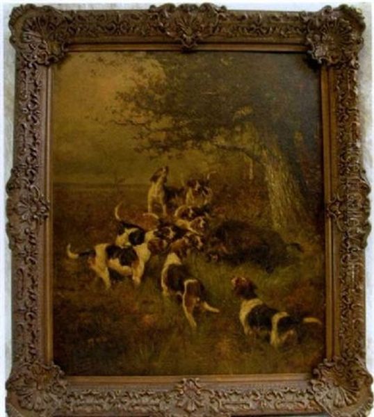 Hunting Dogs Cornering A Wild Boar - view 1