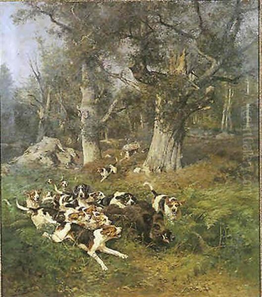 Sanglier Au Ferme - view 1