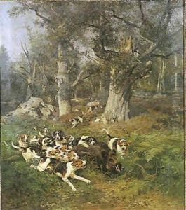 Sanglier Au Ferme