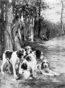 Chiens De Chasse