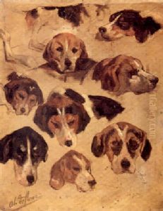 Studies Of Hounds