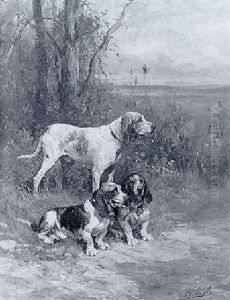 Un Setter Et Deux Bassets