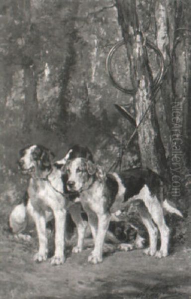 Hunting Dogs - view 1
