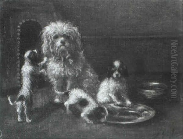 Caniche Et Ses Chiots - view 1