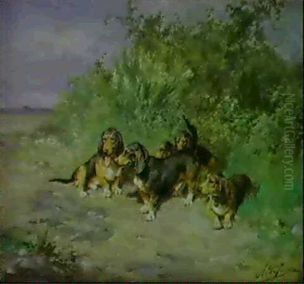 Bassets Pres D'une Ferme - view 1