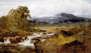 Landschap Landschap