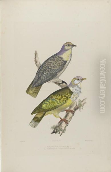 Paris: P. Bertrand, 1857 [-1858] - view 1