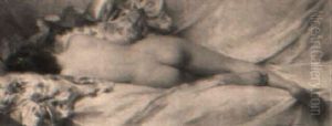 Nudo Femminile Di Schiena