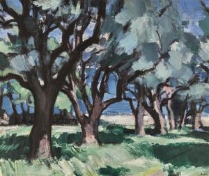Trees, Antibes Trees, Antibes