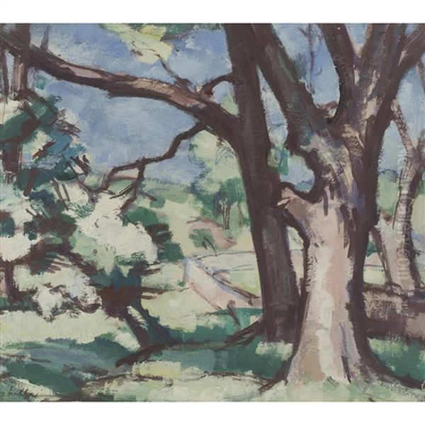Tree Study Cassis - view 1