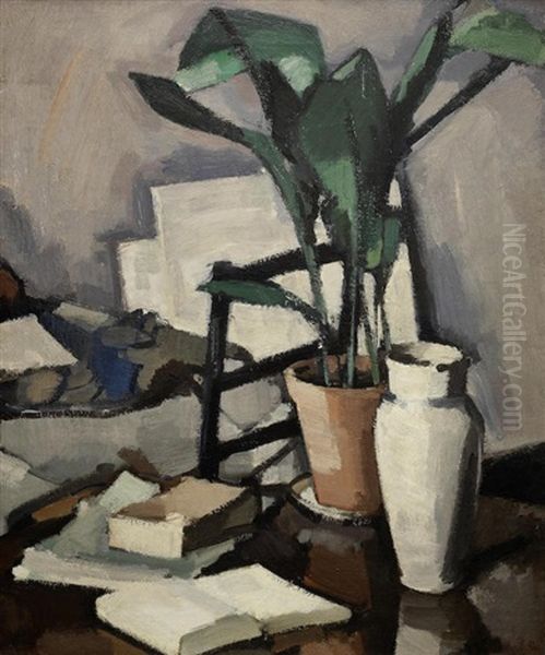 Aspidistra - view 1