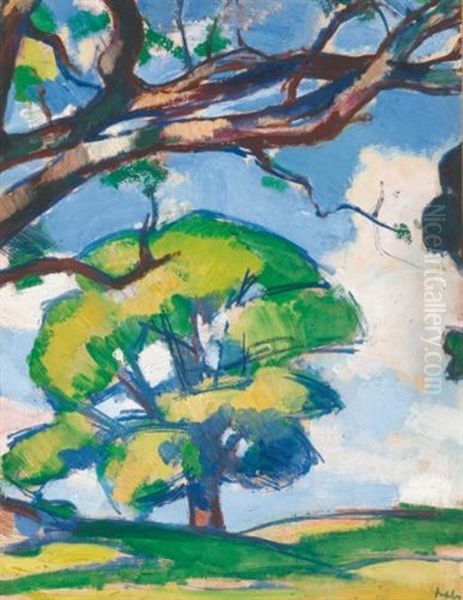 Trees, Douglas Hall - view 1
