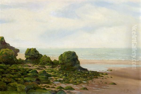 Kustenlandschaft In Der Normandie Bei Ebbe - view 1