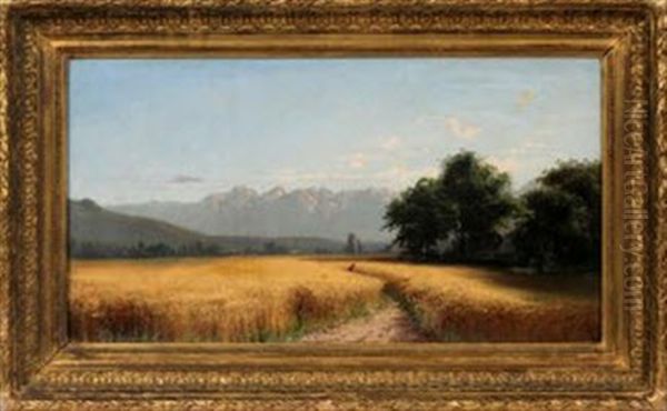 Paysage - view 1