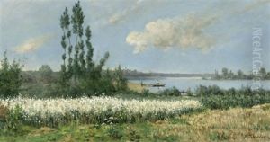 Wiesenlandschaft An Einem Fluss Wiesenlandschaft An Einem Fluss