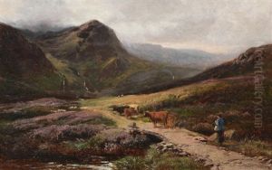 The Return Home