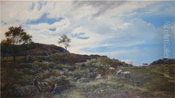 Tending Sheep On A Cliff Top - view 1