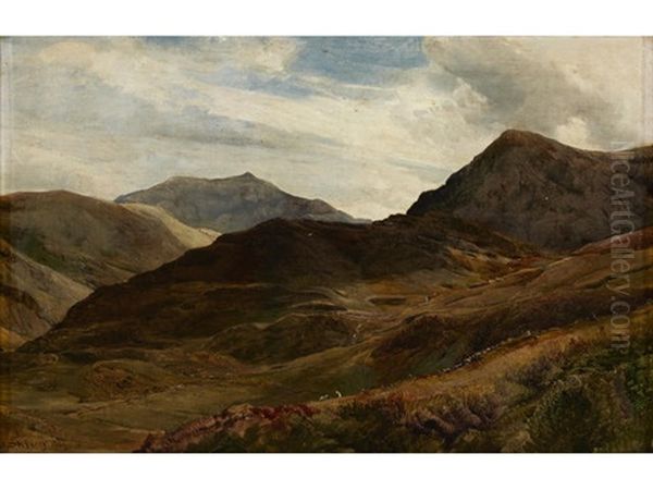 Rosshire - view 1