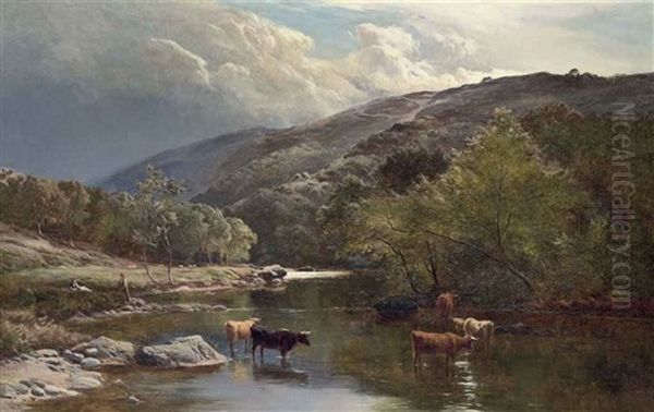 Cattle Watering In The River Lyn, North Devon - view 1