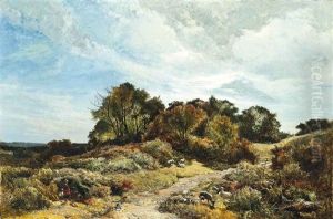 The Path Across The Common