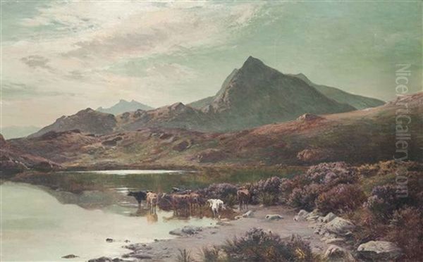 Llyn Cwm-ffynnon, North Wales - view 1