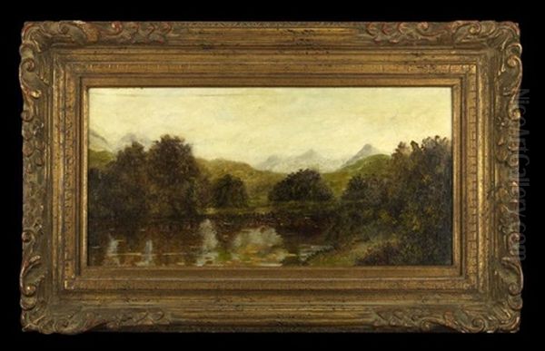 Near Bala, North Wales - view 1