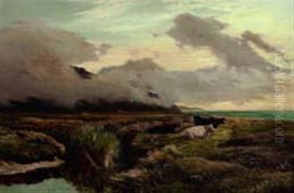 Highland Landscape With Cattle Resting Near The Shore - view 1