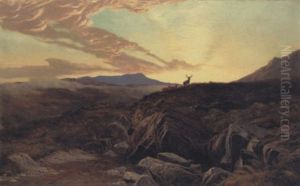 Blackmount Deer Forest, Argyll by Sidney Richard Percy