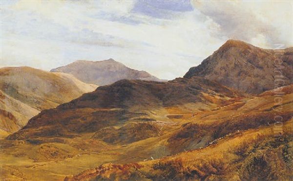 Rosshire - view 1
