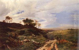 On The Hill, North Wales