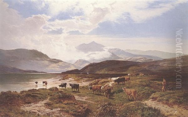 Driving Cattle To Water - view 1