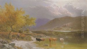 Cattle Watering By A Loch Cattle Watering By A Loch