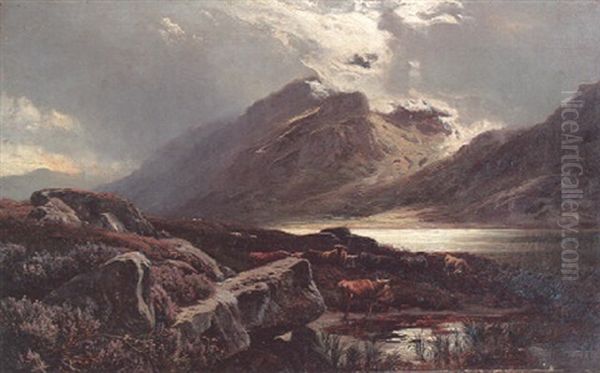 Cattle Watering In The Highlands - view 1