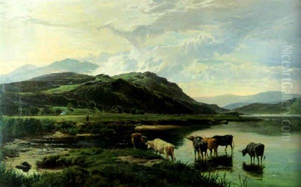 Cattle Watering In Welsh Valley - view 1