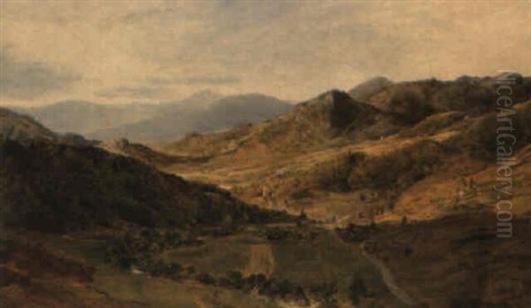 A View In The Welsh Mountains - view 1
