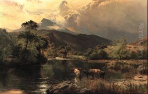 The Llugwy, Near Capel Curig
