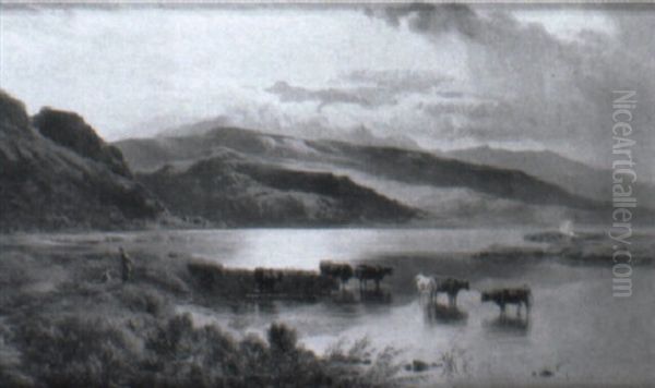 Cows Watering By A River's Edge - view 1
