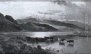 Cows Watering By A River's Edge