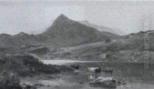 Llyn-y-cwnn Flynmon, North Wales Llyn-y-cwnn Flynmon, North Wales