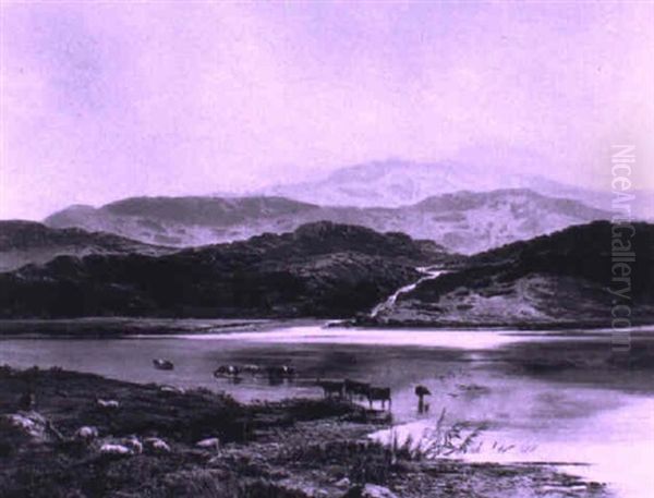 Cattle Grazing By A Riverside - view 1