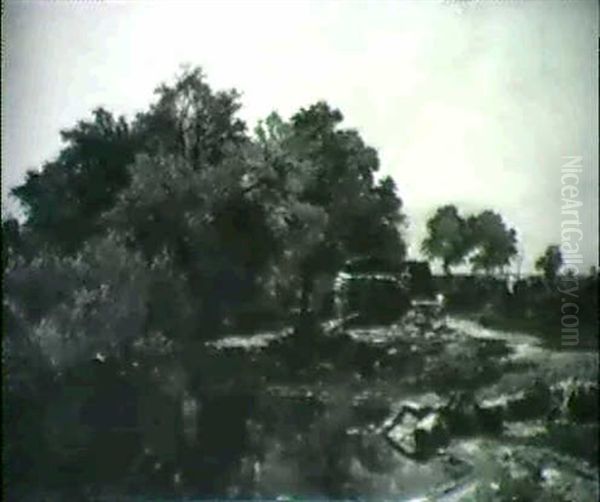 A Thicket At The Edge Of A Lake - view 1
