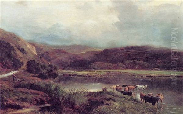 River Landscape In North Wales - view 1