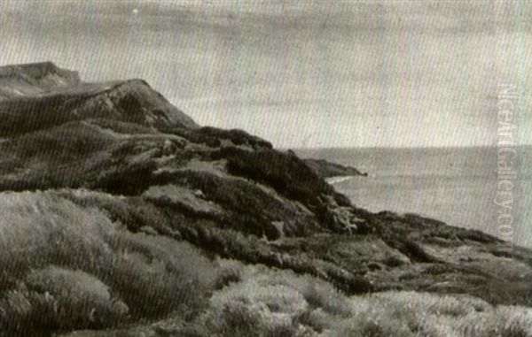 A Heathland View; A Coastall Moor - view 1