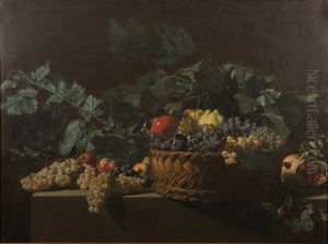 Still Life