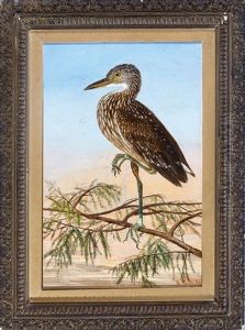 Night Heron by Achille Perelli